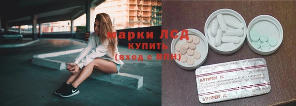 сатива Армянск