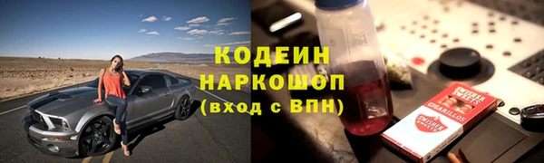 соль ск Арсеньев