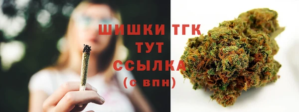 соль ск Арсеньев