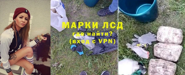 ешки Новодвинск