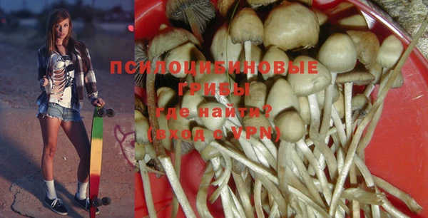 соль ск Арсеньев