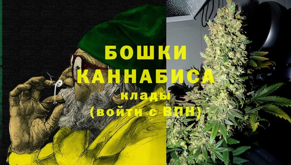 сатива Армянск