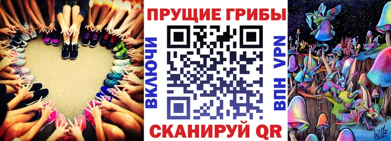 Псилоцибиновые грибы Magic Shrooms  мега как зайти  Олонец  хочу  